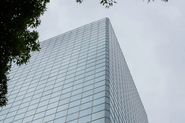 背景として曇天の高いオフィスビル — ストック写真