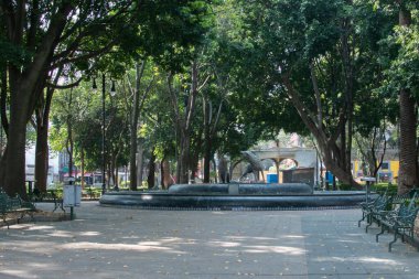 Mexico City 'de heykeli ve çeşmesi olan huzur dolu bir park.