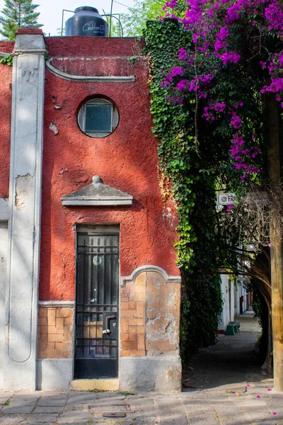 Ancien bâtiment rouge et beaux arbres à Mexico — Photo