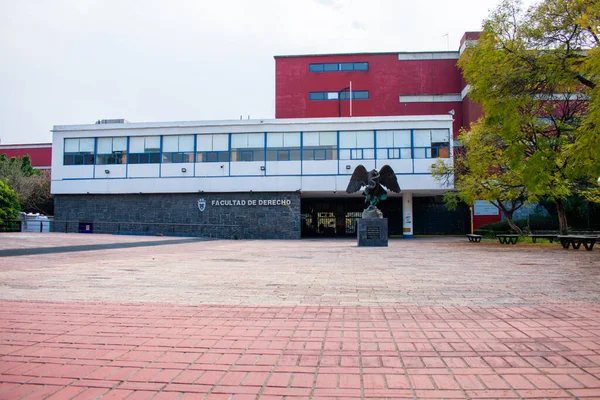 Estatua de águila fuera del edificio de la escuela de derecho de la universidad mexicana —  Fotos de Stock