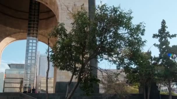 青空を背景にした革命記念碑の隣の木 — ストック動画
