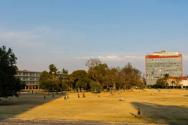 遠くに建物があるメキシコの大学の庭 — ストック写真