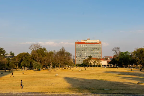 遠くに建物があるメキシコの大学の庭 — ストック写真