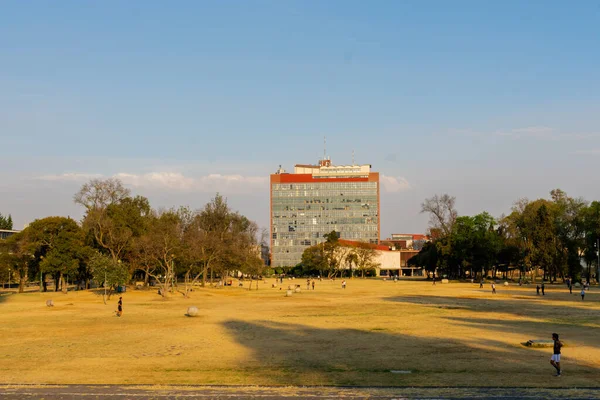 遠くに建物があるメキシコの大学の庭 — ストック写真