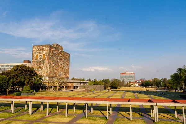 遠くに建物があるメキシコの大学の庭 — ストック写真