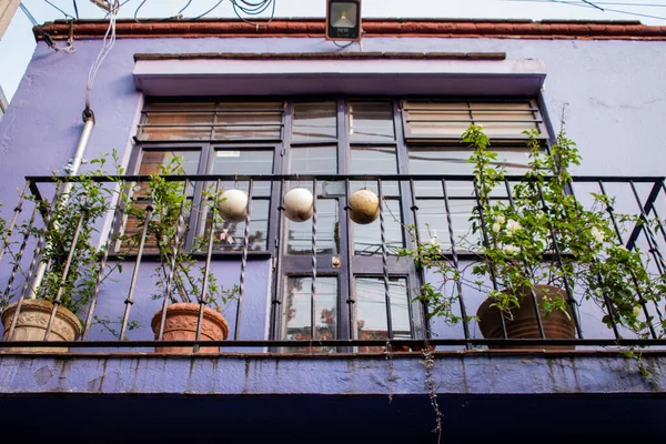 Plantas e flores na varanda da casa hispânica roxa — Fotografia de Stock