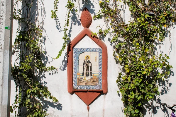 Image religieuse sur un mur blanc entouré de plantes grimpantes — Photo