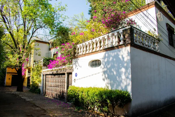 Maison hispanique blanche et belles fleurs à Mexico — Photo