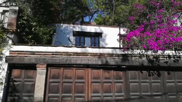 Rumah putih Hispanik dan bunga-bunga indah di Mexico City — Stok Video