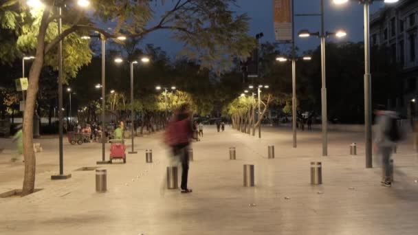 Οι άνθρωποι περπατούν γύρω στο πάρκο κοντά στο Παλάτι των Καλών Τεχνών — Αρχείο Βίντεο