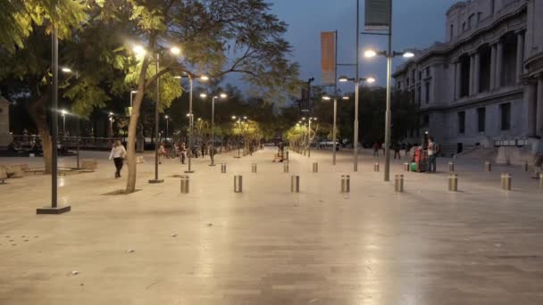 Pessoas andando no parque perto do Palácio de Belas Artes — Vídeo de Stock