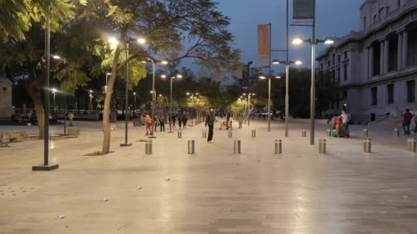Οι άνθρωποι περπατούν γύρω στο πάρκο κοντά στο Παλάτι των Καλών Τεχνών — Αρχείο Βίντεο