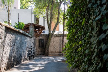 Mexico City 'den ara sokaktaki taş duvar ve çalılar