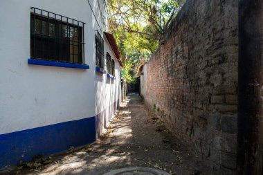 Mexico City sokaklarında renkli İspanyol evleri ve ağaçlar