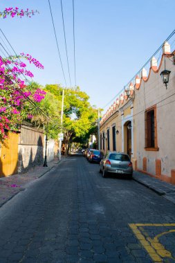 Mexico City 'den gelen renkli İspanyol evleri ve çiçekler.