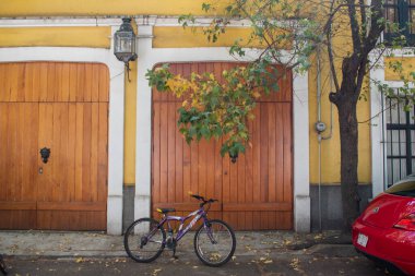 Klasik sarı ev ve Mexico City 'de güzel çiçekler.