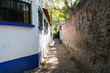 Mexico City sokaklarında renkli İspanyol evleri ve ağaçlar