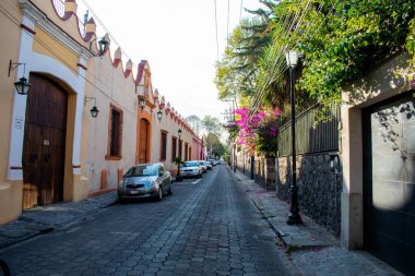 Colorful Hispanic houses and flowers in street from Mexico City clipart