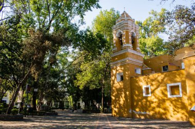 Coyoacan 'da ağaçlarla çevrili eski Meksika Kilisesi