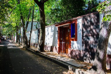 Mexico City 'nin boş sokağındaki renkli İspanyol evleri