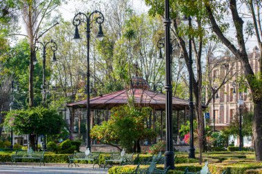 Coyoacan 'daki bir parkın ortasında büfe.