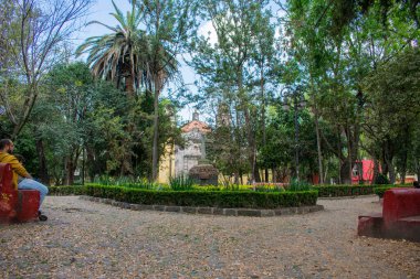 Coyoacan 'dan bir parkın ortasındaki taş haç.