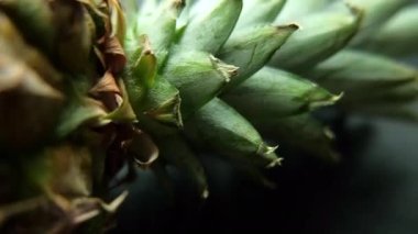 Masa örtüsü olan bir masada izole edilmiş ananas.