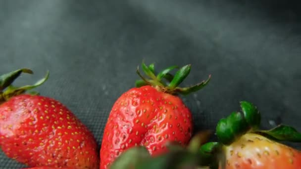Erdbeeren isoliert auf einem Tisch mit dunkler Tischdecke — Stockvideo