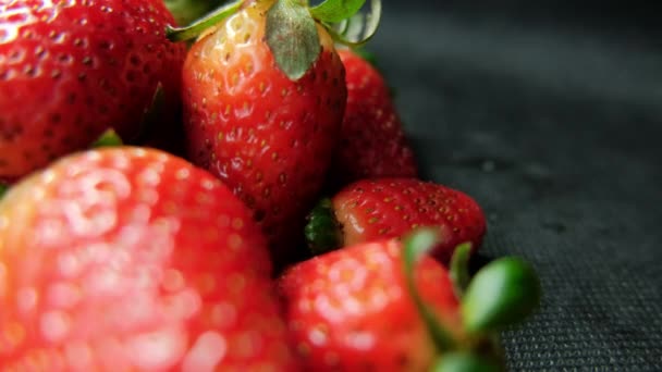 Strawberries isolated on a table with dark tablecloth — Stock Video