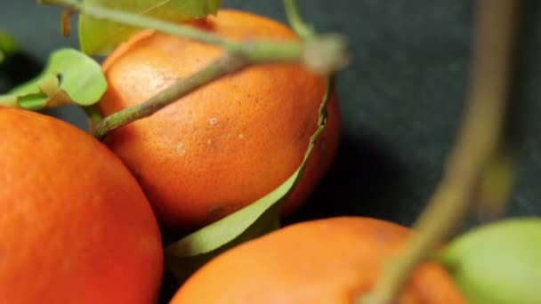 Mandarine izolate pe o masă cu față de masă întunecată — Videoclip de stoc