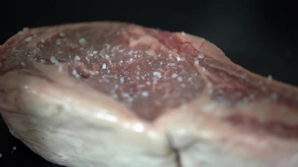 Hati-hati bumbu steak juicy-looking di panggangan — Stok Video