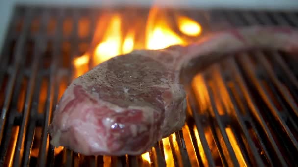 Soczysty kawałek mięsa nad ogniem grilla. — Wideo stockowe