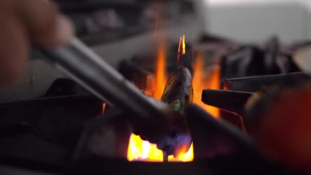 Mão assar pimenta com pinças de aço sobre um queimador aberto — Vídeo de Stock