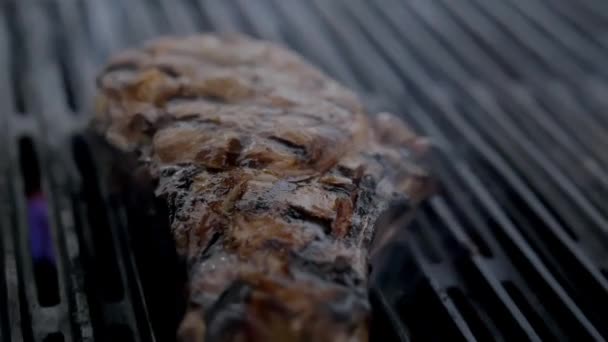 Saftig köttbit över elden på en grill — Stockvideo