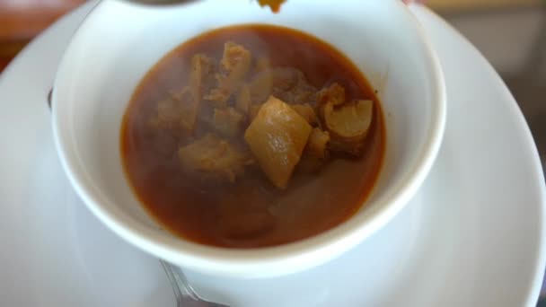 Ladle menyajikan daging sapi rebus panas dalam mangkuk putih — Stok Video