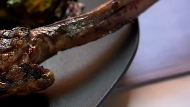 Grilled meat, salad, and roasted onions and chili peppers on plate — Stock Video