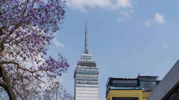 Latin American Tower behind a jacaranda tree and under a blue sky