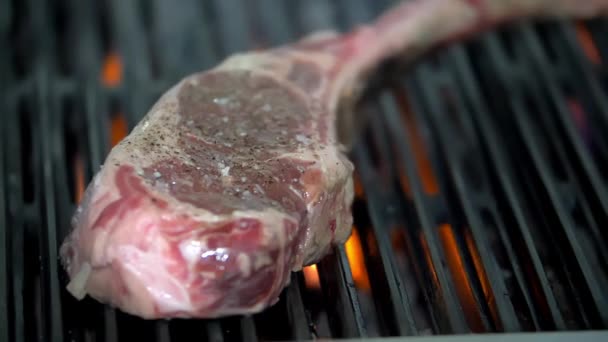 Juicy-looking piece of meat over the fire of a grill — Stock Video