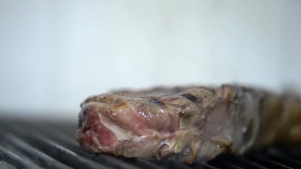 Pedaço de carne com aspecto suculento sobre o fogo de uma grelha — Vídeo de Stock