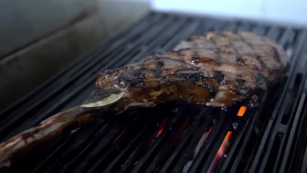 Сочный кусок мяса над костром гриля — стоковое видео