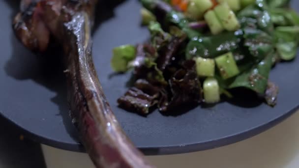 Gegrilltes Fleisch, Salat, geröstete Zwiebeln und Chilischoten auf dem Teller — Stockvideo