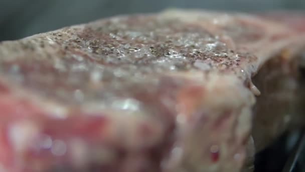 Close-up van een sappig stuk vlees op de grill — Stockvideo