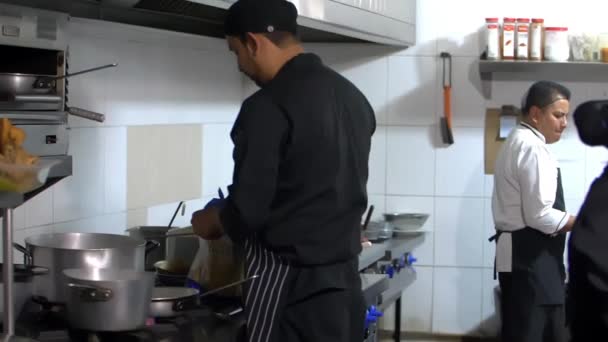 Chefs hispanos barbudos cocinando en una cocina de restaurante — Vídeo de stock