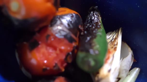 Roasted chili pepper, tomatoes, and onion in blue container — Stock Video