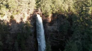 Huzurlu bir ormanın ortasında güzel bir şelale