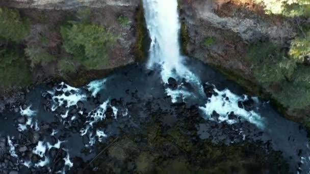 Bellissimo fiume roccioso e cascata nel mezzo di una foresta — Video Stock