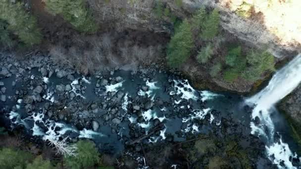 Bellissimo fiume roccioso e cascata nel mezzo di una foresta — Video Stock