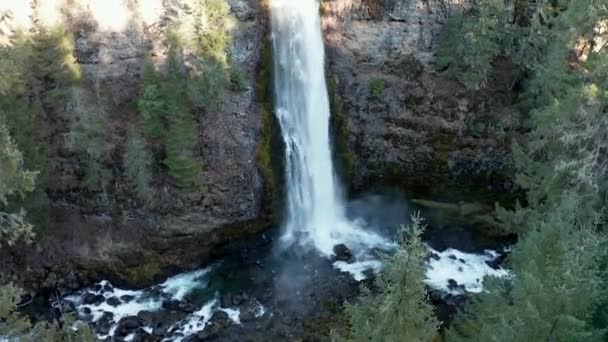 Bella cascata nel mezzo di una foresta tranquilla — Video Stock