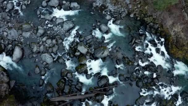 Bellissimo fiume roccioso nel mezzo di una foresta — Video Stock