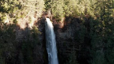 Huzurlu bir ormanın ortasında güzel bir şelale